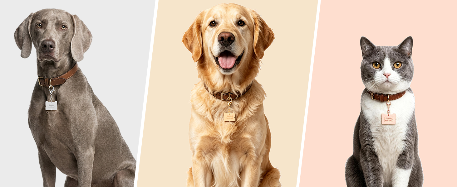 Dog ID Tag