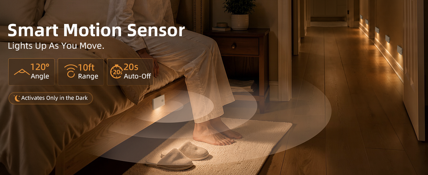 motion sensor light