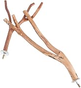 TEHAUX Bird Parrot Perch Stand, Natural Wood Parrot Stand Branches Fork Perch Rod Stand for Small...