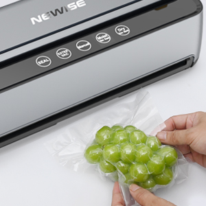 vacuum sealers for food storage