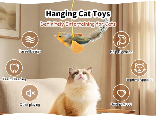 Hanging Cat Toys