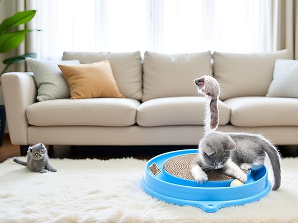 Cat scratcher - bg