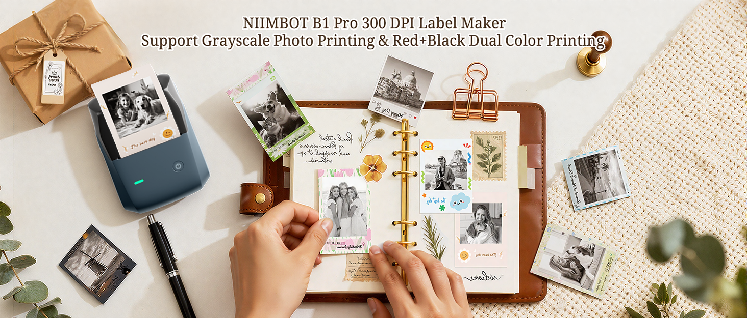 NIIMBOT B1 Pro Label Maker
