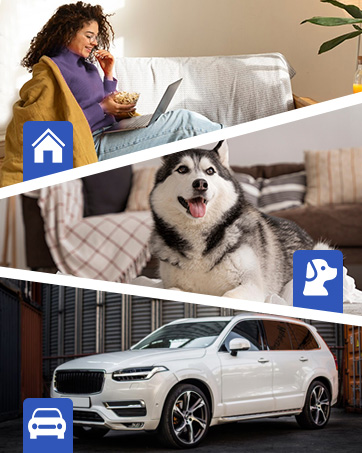 vacuum cleaner cordless