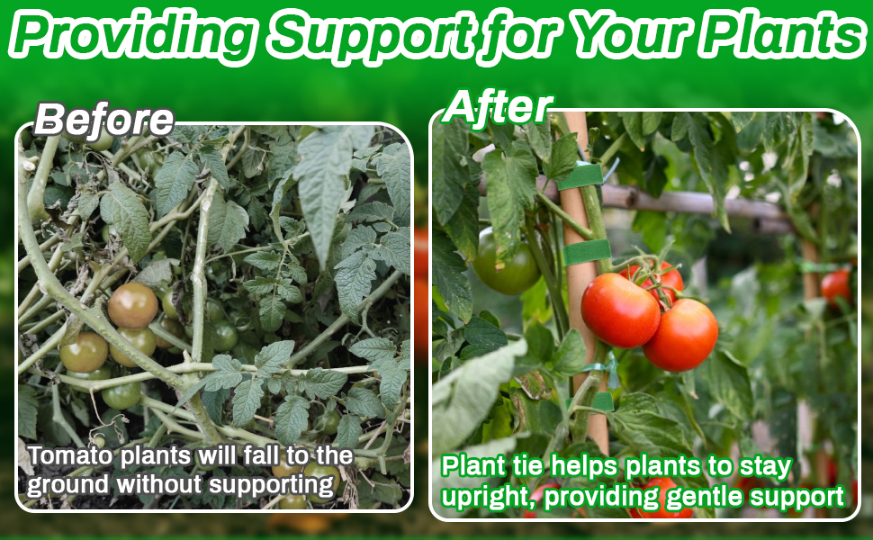 Plant ties for Indoor Outdoor Use