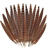 20pcs Female Pheasant Feather Natural Ringneck Tails Feathers 12-14inch 30-35cm for Crafts Home W...