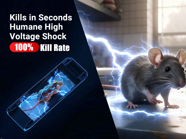 mice traps for house indoor kill