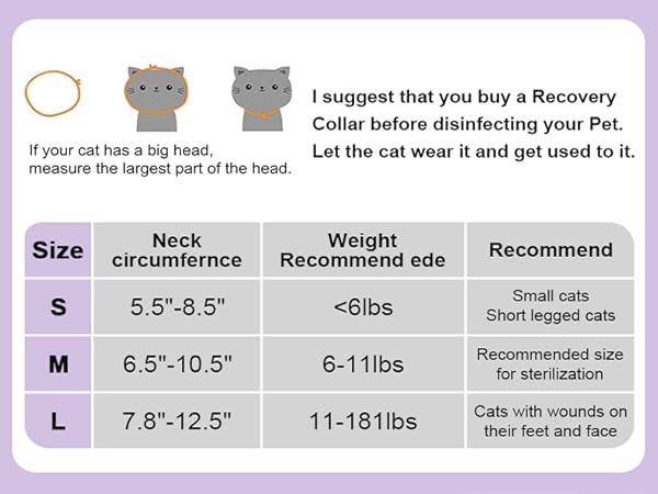 1-1cat cone