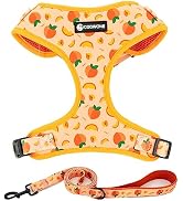 Dog Harness and Leash Set, Adjustable Dog Harness, Dog Leash, No Pull No Choke Puppy Harnesses fo...