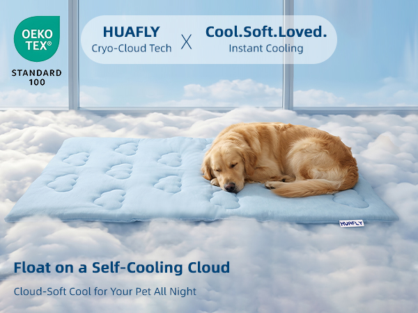Float on a Self-Cooling Cloud