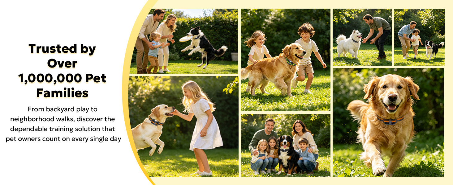 Heaflex shock collar for dog