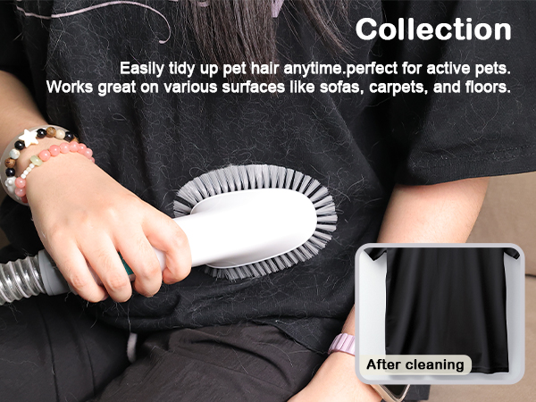 dog grooming vacuum