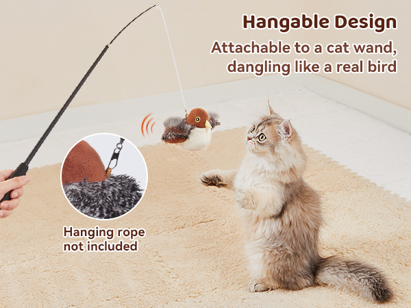 cat toy