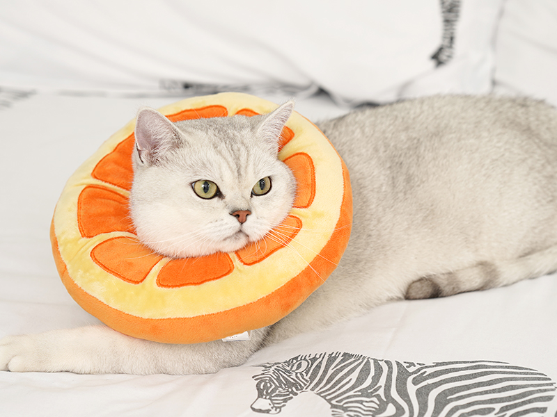 Soft As A Pillow