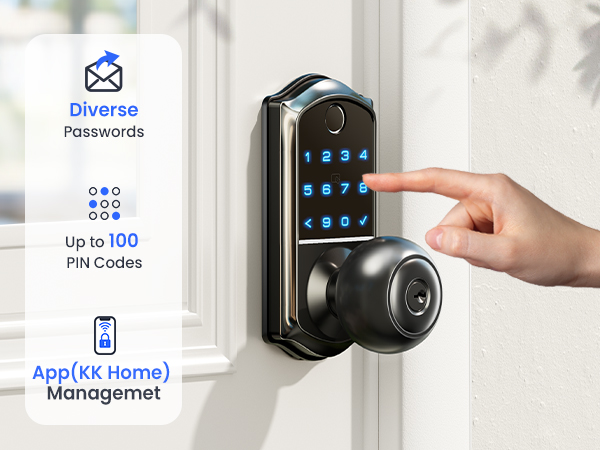 keyless entry door lock