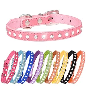 cat collar