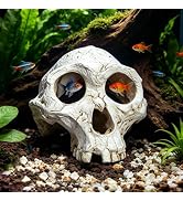 Wowagoga Resin Skull Cave Decor, Gothic Skull Terrarium Cave, Halloween Skeleton Cave Ornament, A...