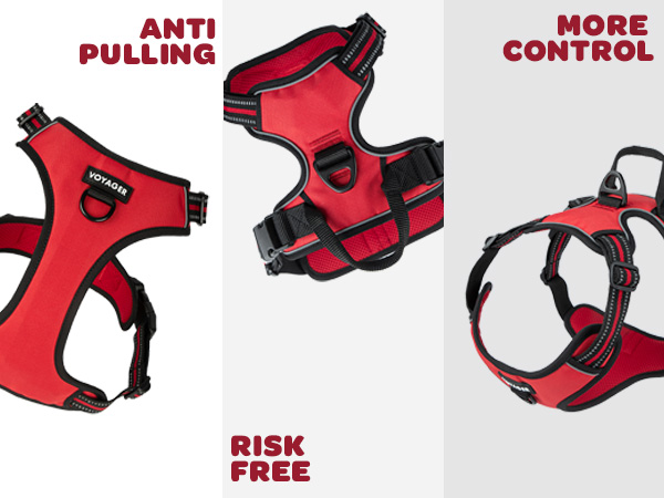 dog harness adjustable for growing pet