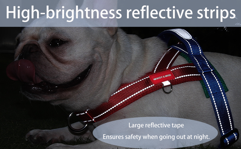 Dog Harness