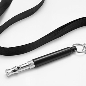 dogs lanyard puppy
