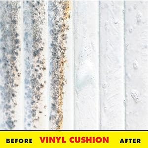 vinyl,upholstery,mold remover,mildew cleaner,starbright,rmr86,x14