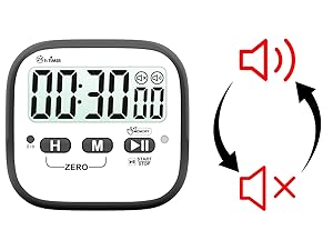 loud and silent timer
