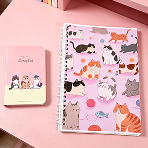 stationary set