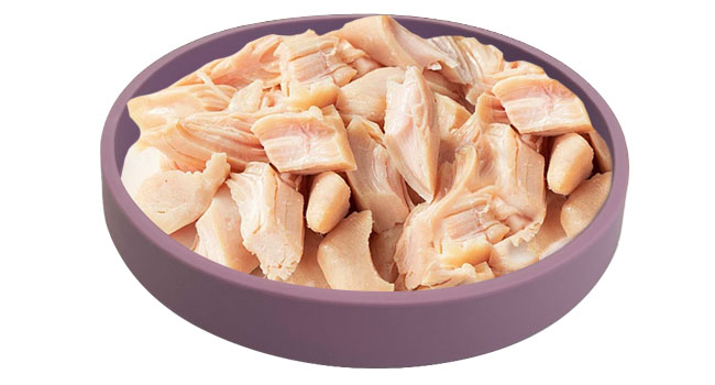 bowls for cats cat bowls for indoor cats cats bowls food bowls for cats cat dishes