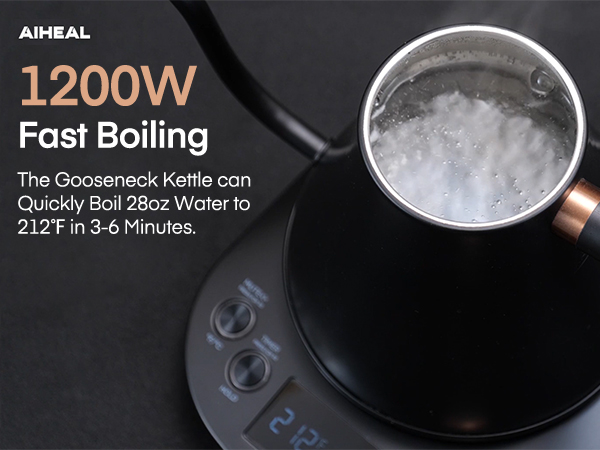 Electric Gooseneck Kettle Temperature Control