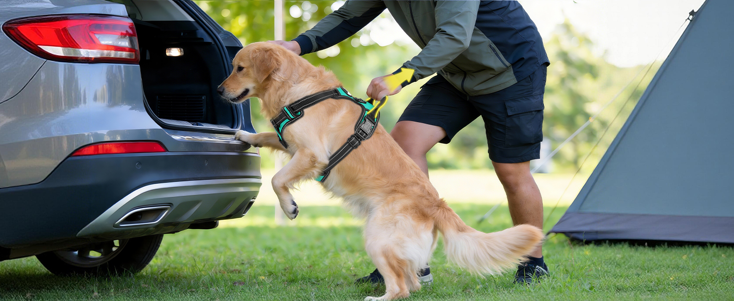 dog harness with handle