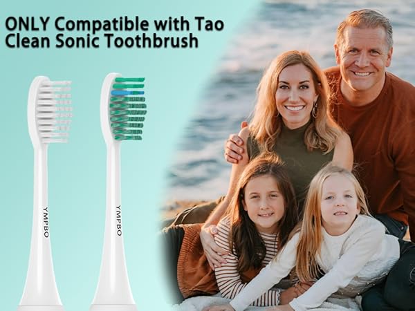 ONLY Compatible with Tao Clean Sonic Toothbrush
