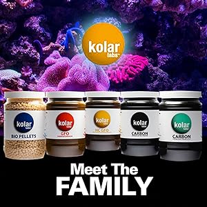 Meet the Family