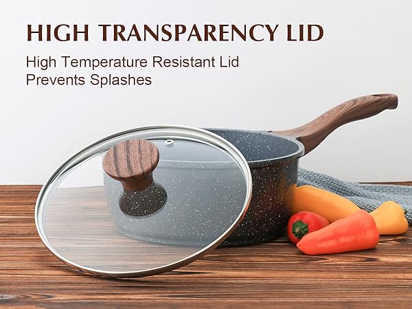 nonstick saucepan with lid