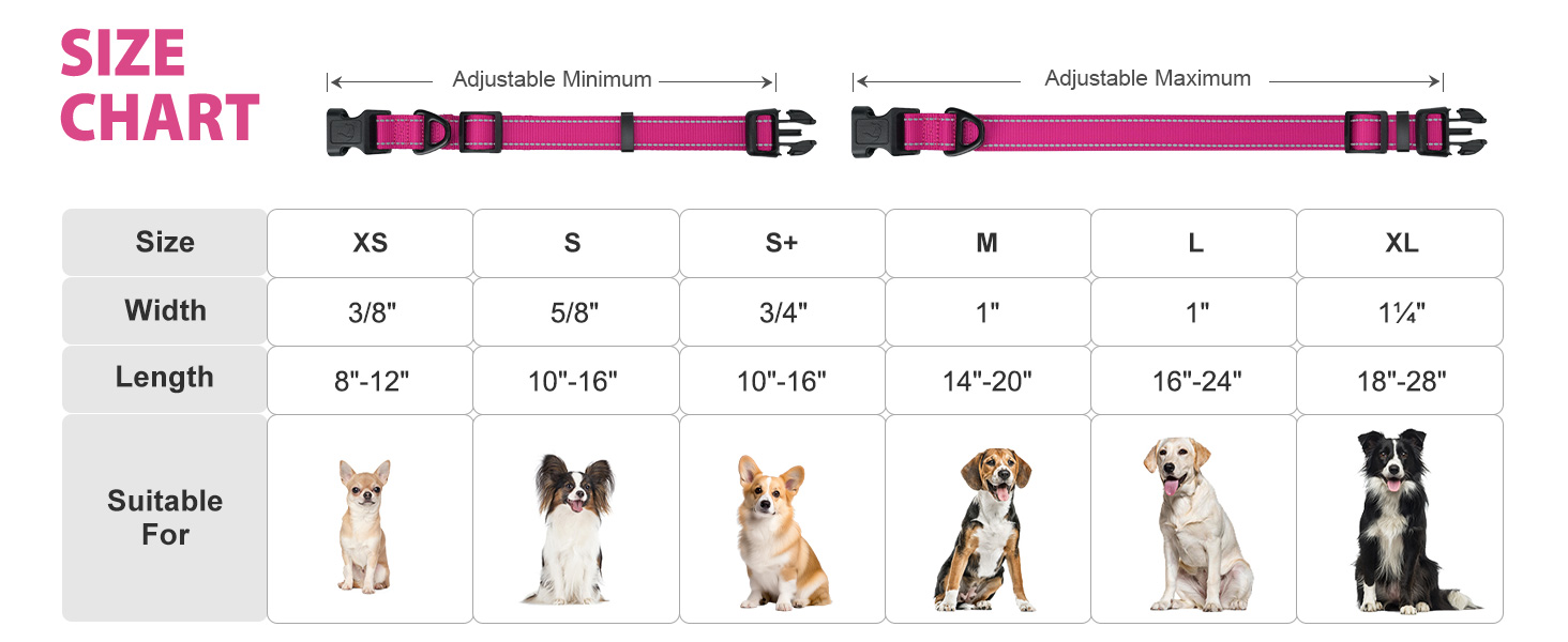 adjustable dog collar
