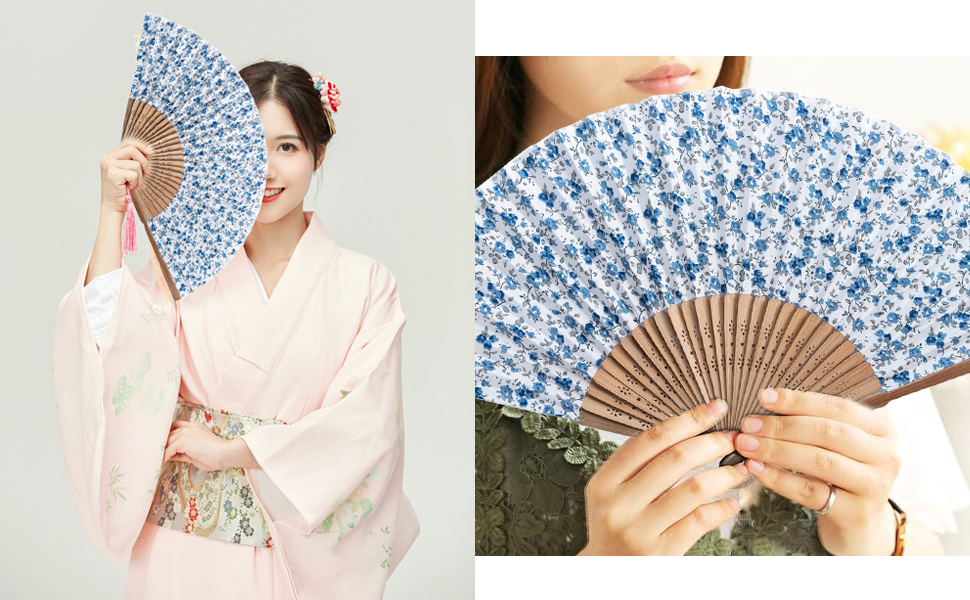 hand fan show