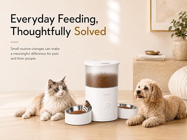 Automatic Cat Feeder