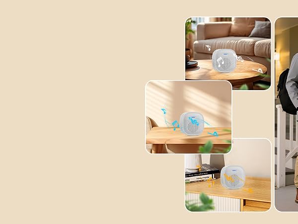 doorbell indoor