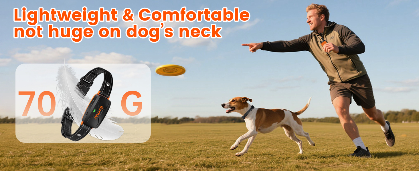 Collar for Dogs