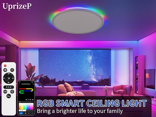 smart LED ceiling light