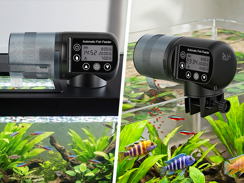 AQQA Automatic Fish Feeder 200ML Moisture-Proof Auto Food Dispenser with LCD Timer, Battery AQ230