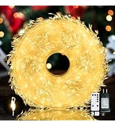 Fairy Lights Plug in,Dailyart 3000 Led Cluster Lights with Timer 195Ft Waterproof Warm Twinkle St...