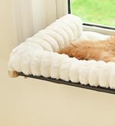 cat window perch