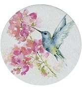 Thirstystone Hummingbird Watercolor 4 Pack Round Natural Sandstone Coasters with Protective Cork ...