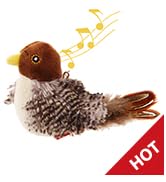 cat bird toy