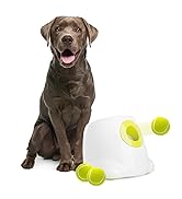 dog toy