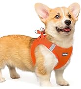 rabbitgoo Small Dog Harness, Step-in Soft Mesh Puppy Vest, Easy Walk with Safety Buckle, Breathab...