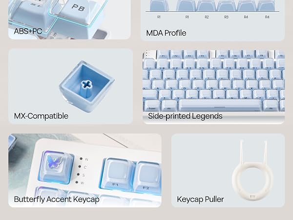Lusterfly jelly kecaps set