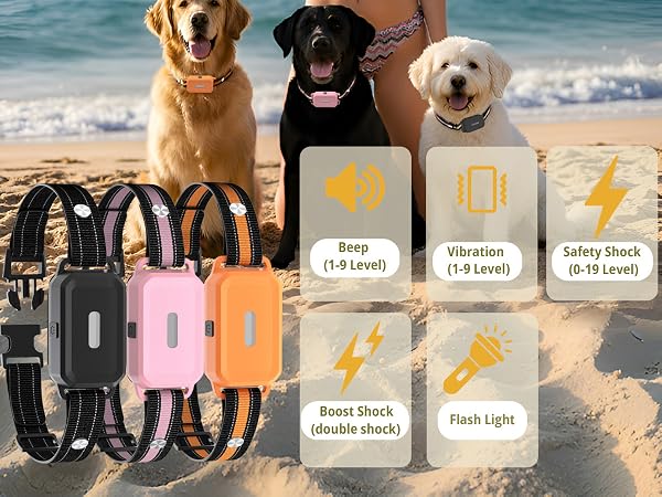 3 pack dog collar