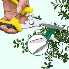 garden scissors