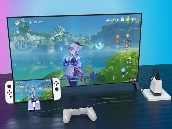 Switch Dock Mode